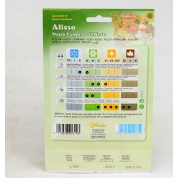 White Alisso Seeds 2