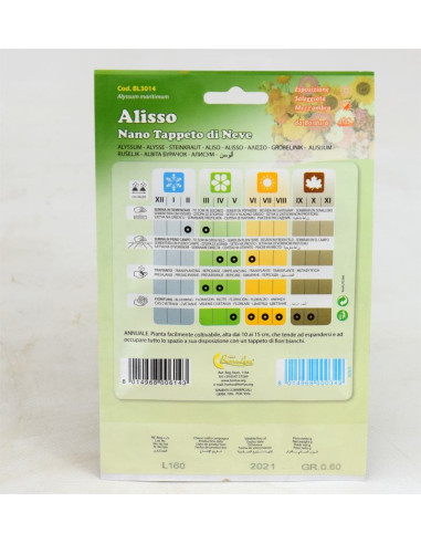 White Alisso Seeds for Sale-Seeds Online | Mondo Piante