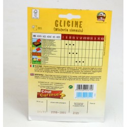 Semi Pianta Glicine 2
