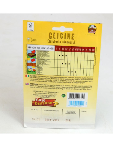 Vendita Semi Pianta Glicine-Semi Particolari|Mondo Piante