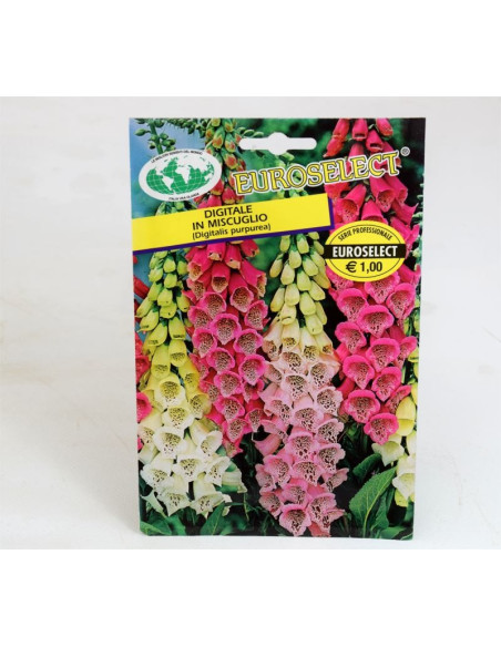 Digitale Seeds for Sale-Seeds Online | Mondo Piante