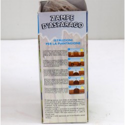 Zampe Di Asparago 2