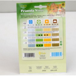 Primula Seeds 2