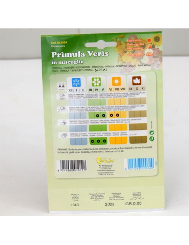 Primula Seeds for Sale-Seeds Online | Mondo Piante