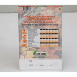 Violaciocca Seeds 2