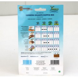 Gerbera Seeds 2