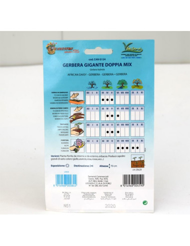 Vendita Semi di Gerbera-Semi Fiori OnLine|Mondo Piante