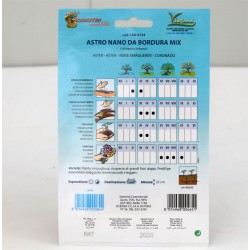 Dwarf Astro Seeds 2