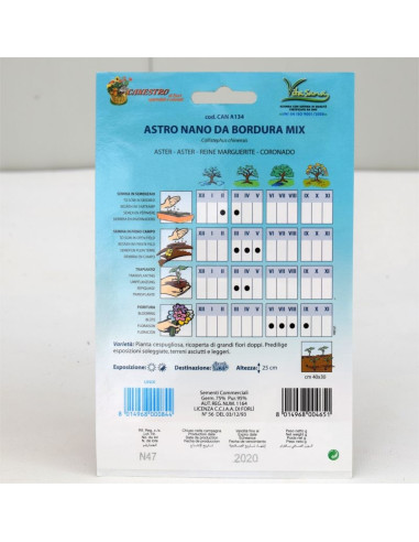 Dwarf Astro Seeds for Sale-Seeds Online | Mondo Piante