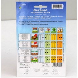 Semi Geranio 2