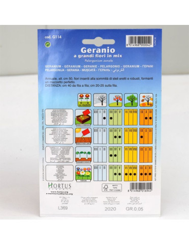 Geranium Seeds for Sale-Seeds Online | Mondo Piante