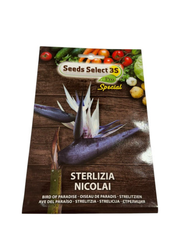 Vendita Semi di Sterlizia Nicolai-Semi Particolari|Mondo Piante