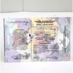 Semi Viola Del Pensiero... 2