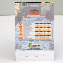 Blue Dwarf Agerato Seeds 2