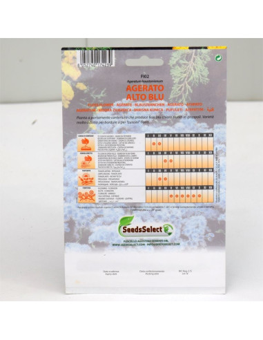 Blue Dwarf Agerato Seeds for Sale-Seeds Online | Mondo Piante