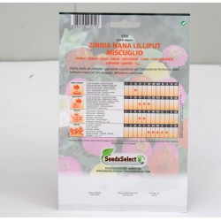 Semi Di Zinnia Lilliput 2