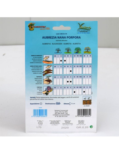 Vendita Semi di Aubretia Nana Porpora-Semi Fiori|Mondo Piante