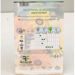 Dimorfoteca Seeds 2