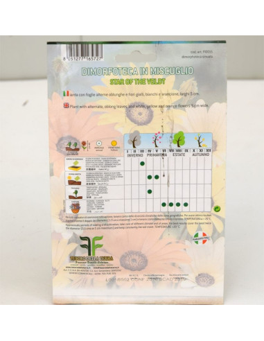 Vendita OnLine Semi di Dimorfoteca - Semi da fiore|Vivaio Mondo Piante