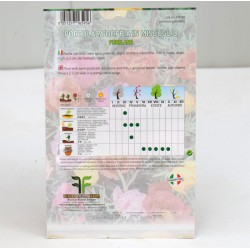 Portulaca Seeds 2