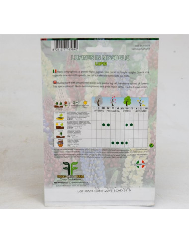 Vendita Semi di Lupinus-Semi Fiori OnLine|Mondo Piante