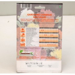 Red Chabaud Carnation Seeds 2