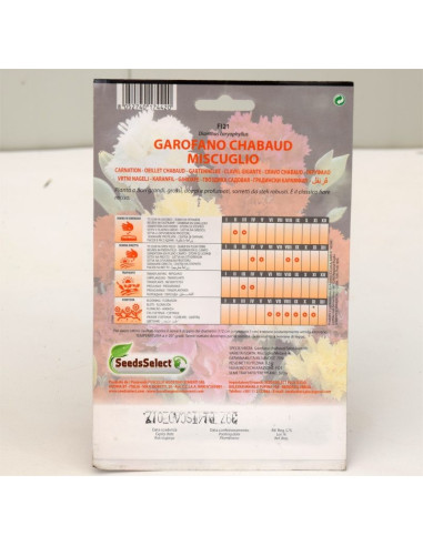 Vendita Semi di Garofano Chabaud Rosso-Semi Fiori OnLine|Mondo Piante