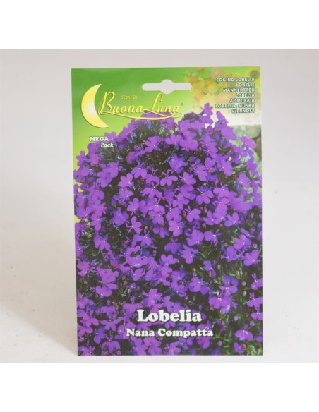Lobelia Crystal Palace Seeds for Sale-Seeds Online | Mondo Piante