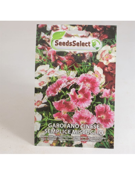 Vendita Semi di Garofano Cinese Doppio-Semi Fiori|Mondo Piante