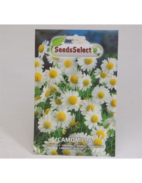 Chamomile Seeds for Sale-Seeds Online | Mondo Piante
