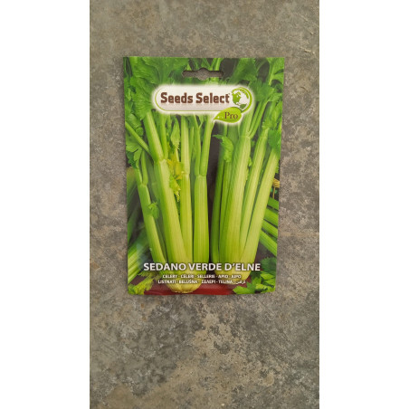 Celery Seeds for Sale-Seeds Online | Mondo Piante