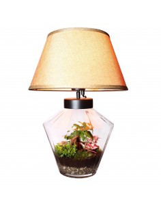 Terrarium Lamparium...