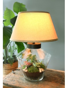 Terrarium Lamparium... 2