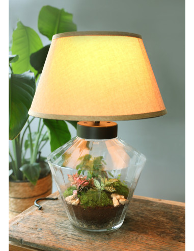 Vendita Terrarium Lampadario - Terrarium |Vivaio Mondo Piante