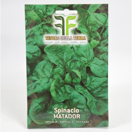 Vendita Semi di Spinaci 5/10gr-Semi per Orto OnLine | Mondo Piante