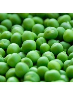 Climbing Pea Mangiatutto