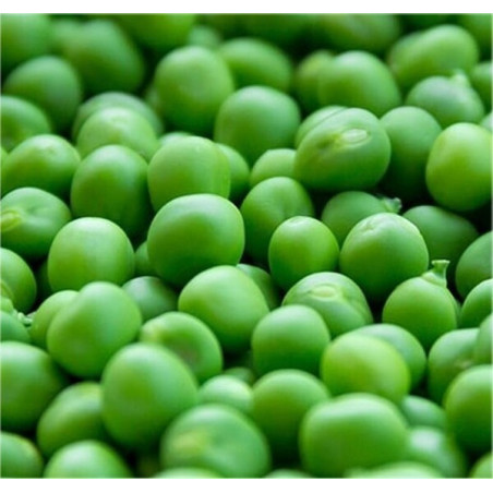 Vendita Semi Pisello Nano Provenzale-Semi OnLine|Mondo Piante