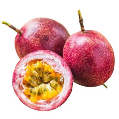 Pianta Passiflora Edulis in Vaso 18cm Piante Rampicanti |Mondo Piante