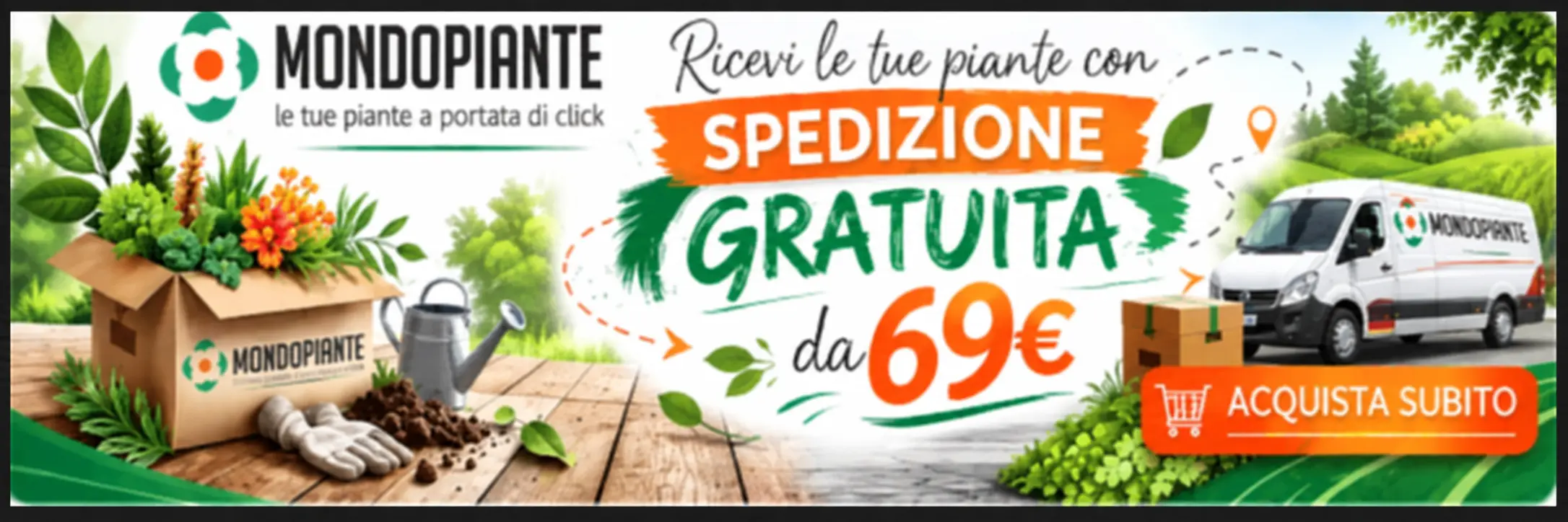 Free shipping promotion