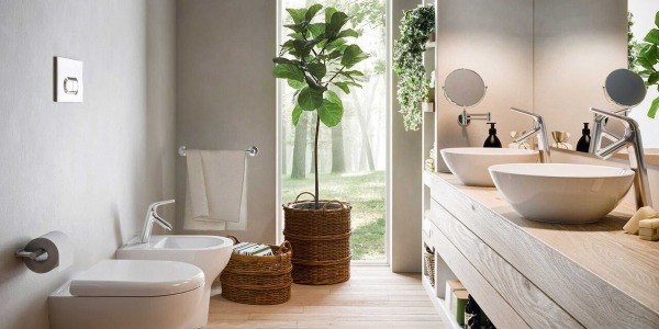 Piante per il Bagno: Le Migliori Varietà che Prosperano in Ambienti Umidi