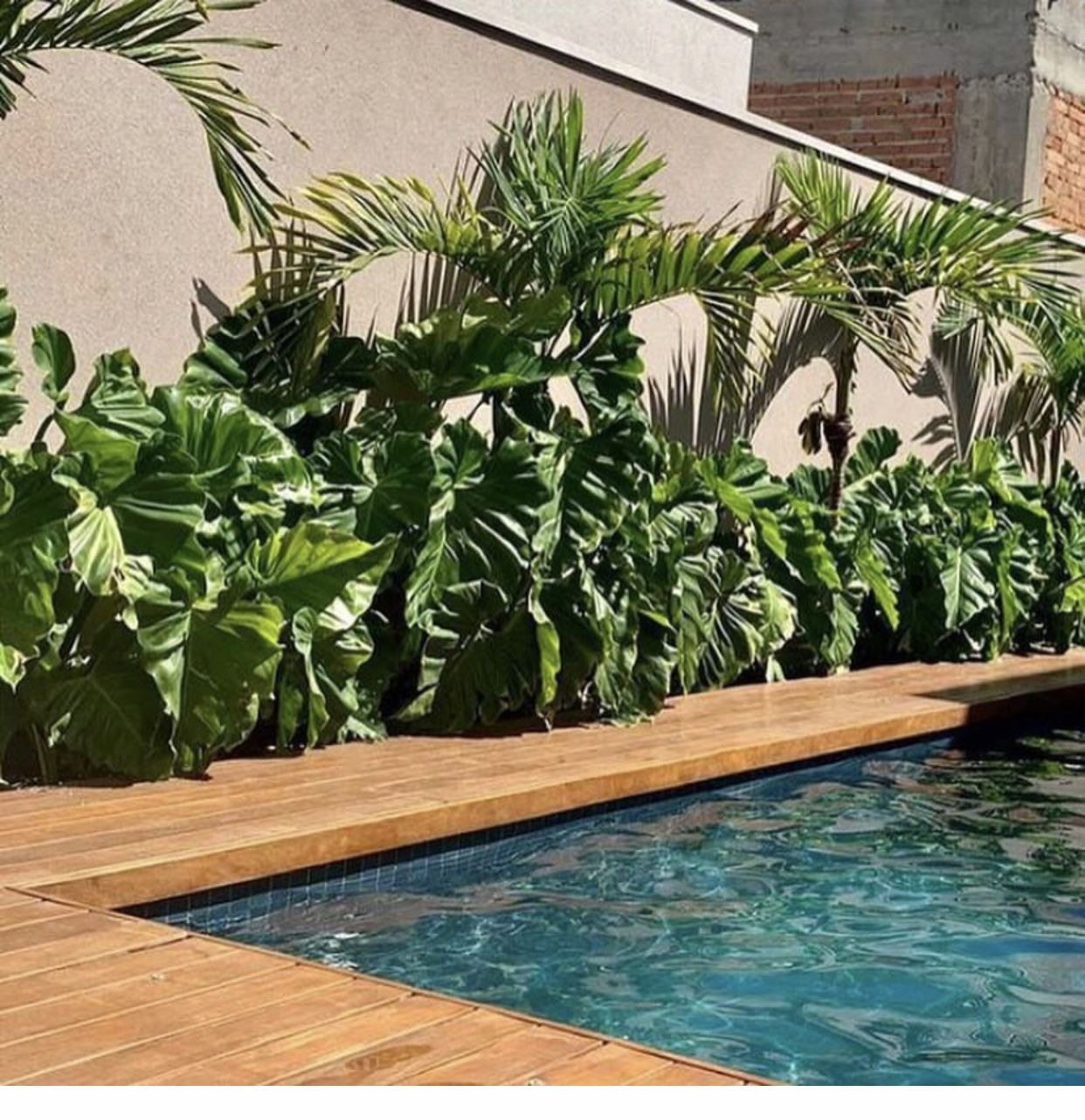 Cambridge Winter Gardens 28 feb-1 mar 2020 – Viaggi Floreali, image size:1242x1281