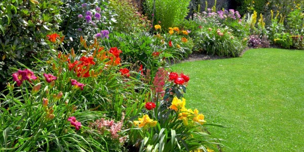 Piante per Realizzare un Giardino: Come Creare uno Spazio Verde da Sogno